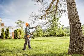 Best Palm Tree Trimming  in St James City, FL